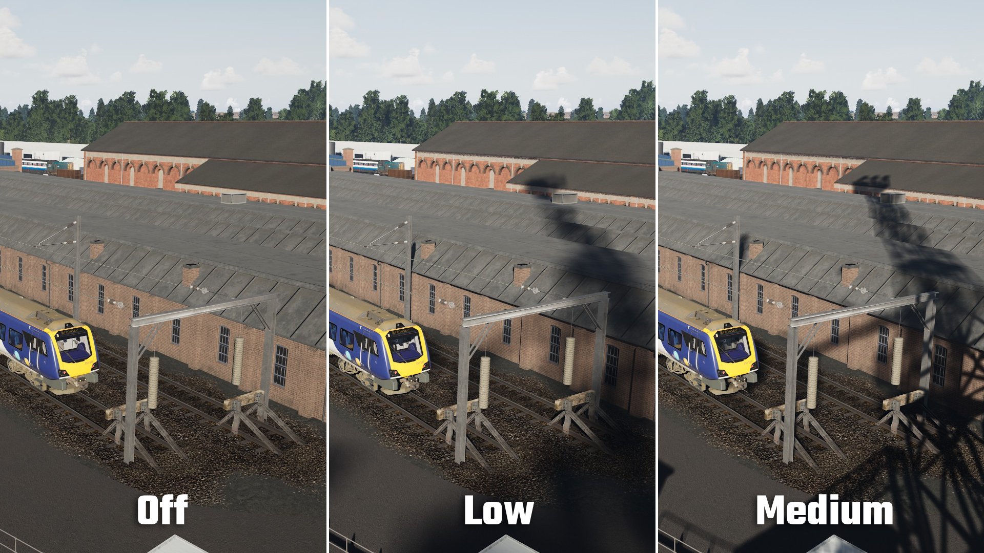 shadowsofflowmed.jpg